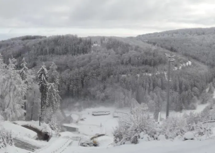 Сasa de vacaciones Haus Sonneck Willingen (Upland)